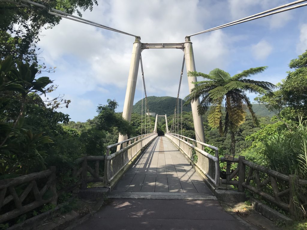 セイシカの橋